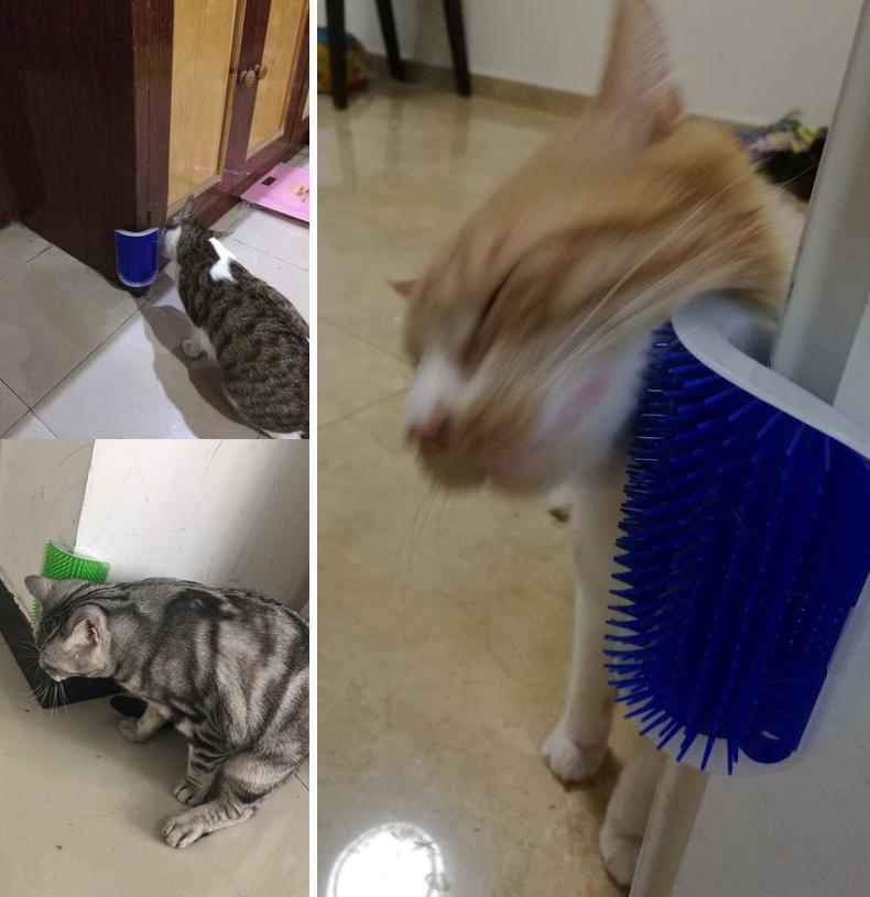 Cat Groomer - Hair Removal Brush Comb For Dogs And Cats - With Catnip