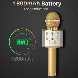 Professional Bluetooth Wireless Microphone Karaoke Speaker - Recorder