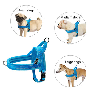No Pull Nylon Dog Harness