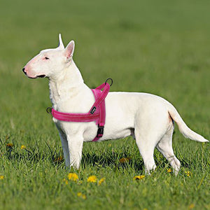 No Pull Nylon Dog Harness