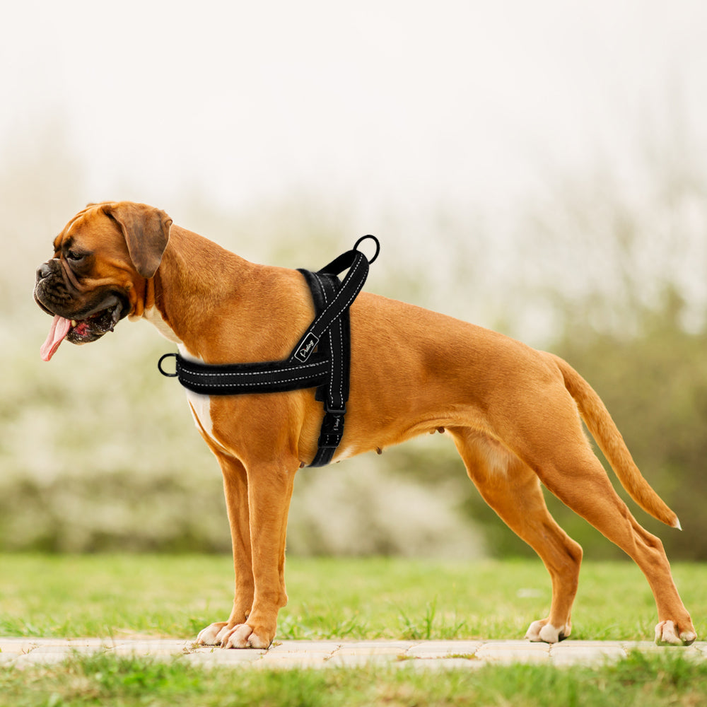 No Pull Nylon Dog Harness