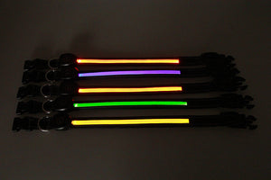 LED Dog and Cat Collar USB Rechargeable