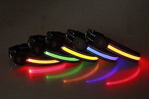 LED Dog and Cat Collar USB Rechargeable