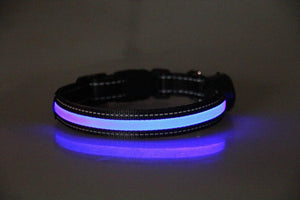 LED Dog and Cat Collar USB Rechargeable