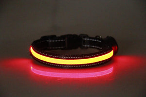LED Dog and Cat Collar USB Rechargeable