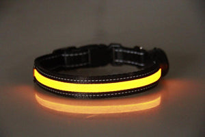 LED Dog and Cat Collar USB Rechargeable