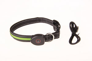 LED Dog and Cat Collar USB Rechargeable