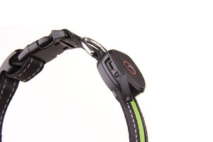 LED Dog and Cat Collar USB Rechargeable