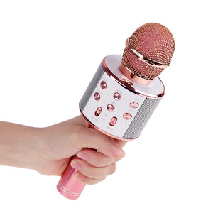 Professional Bluetooth Wireless Microphone Karaoke Speaker - Recorder