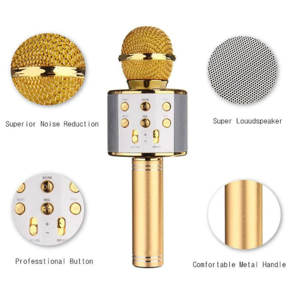 Professional Bluetooth Wireless Microphone Karaoke Speaker - Recorder