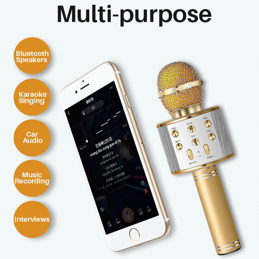 Professional Bluetooth Wireless Microphone Karaoke Speaker - Recorder