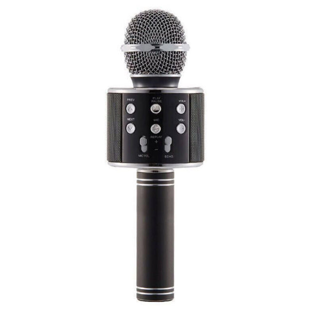 Professional Bluetooth Wireless Microphone Karaoke Speaker - Recorder