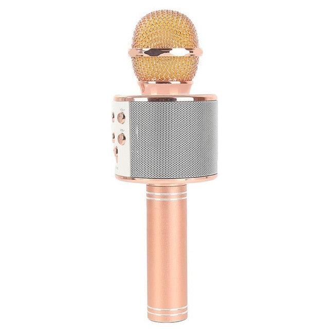 Professional Bluetooth Wireless Microphone Karaoke Speaker - Recorder