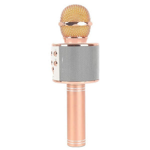 Professional Bluetooth Wireless Microphone Karaoke Speaker - Recorder