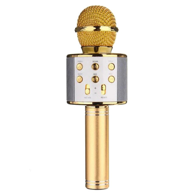 Professional Bluetooth Wireless Microphone Karaoke Speaker - Recorder