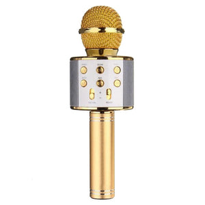 Professional Bluetooth Wireless Microphone Karaoke Speaker - Recorder