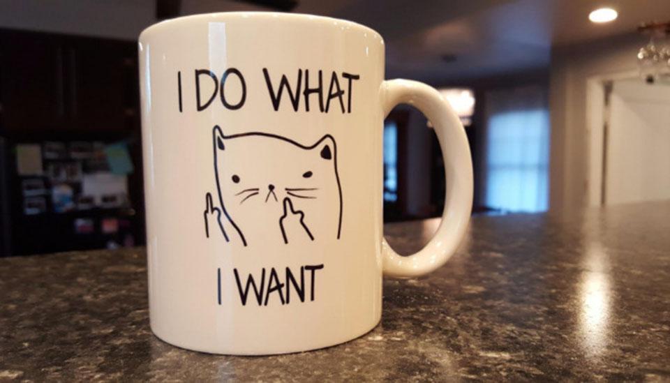 Transhome Creative I DO WHAT I WANT Ceramic Coffee Mug Funny Cat Middle Finger Mugs For Coffee Tea Milk Gifts 10oz